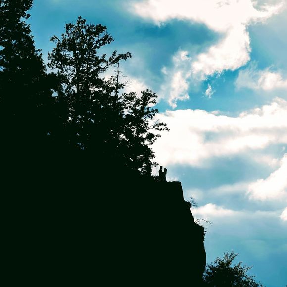 Meet your Posher, Carmen - Picture 1 of 1